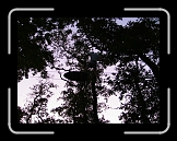 equinox76 (64) * 1632 x 1224 * (1.37MB)